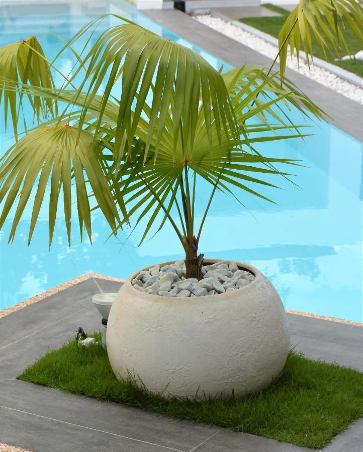 Balai Cinta Vila Panglao City Exterior foto
